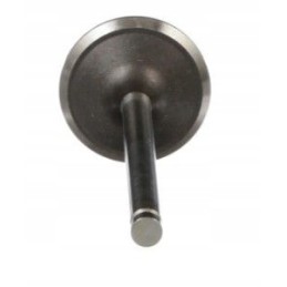 Exhaust valve j920868 06