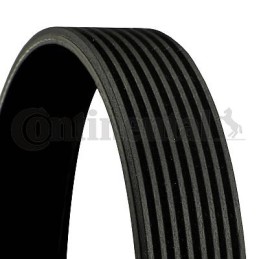 Contitech 8pk1376 V-belt