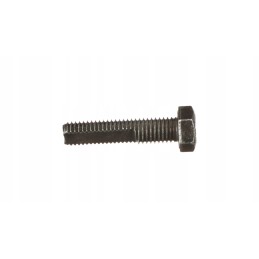 New Holland Case special screw 87568603