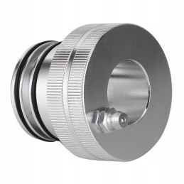 Bearing grease tool for lubricating bearings