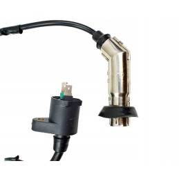 Ignition coil, spark plug with pipe, metal 4t gy6