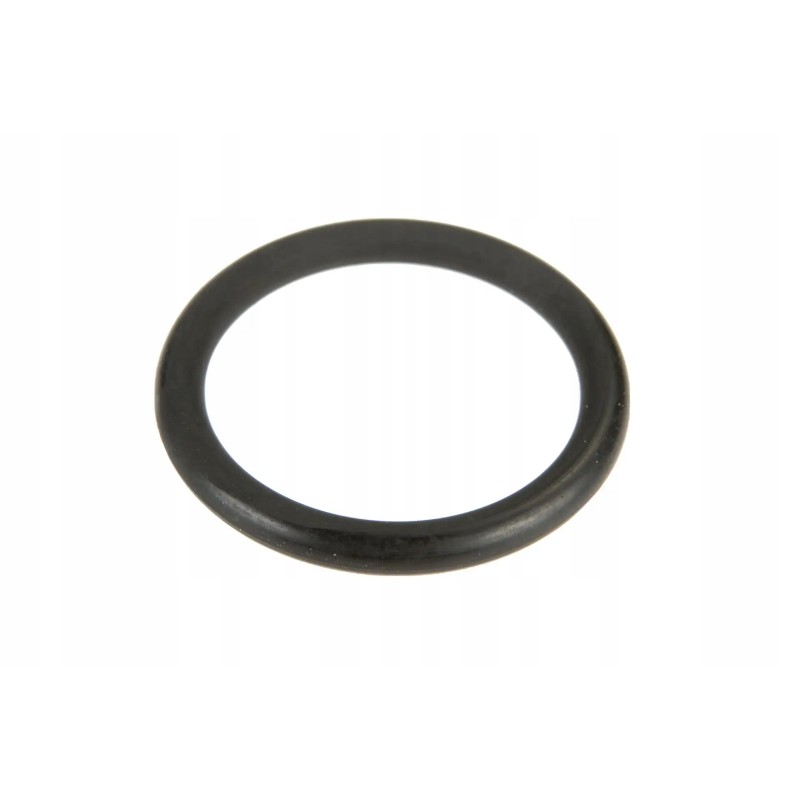 V614702230 engine oil pump o-ring