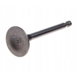 Gokart compactor honda gx270 valves suction valve