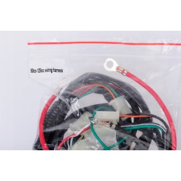 Electrical installation 50 cc 125 cc
