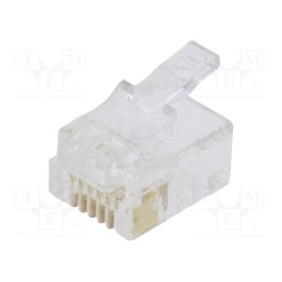 10 pcs x BM GROUP - BM01066 - Plug, RJ12, PIN: 6, Layout: 6p6c, for cable, IDC,crimped