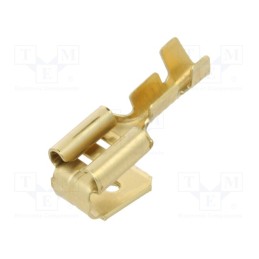 10 pcs x BM GROUP - BM02198 - Terminal: flat, 6.3mm, 0.8mm, female/male, 0.5÷1mm2, crimped, brass