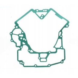 Can am renegade 650 engine gasket