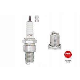 Spark plug 3630 ngk