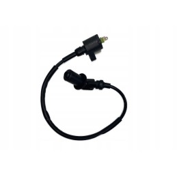 Engine 139qmb 4t gy6 80ccm 40cm drum long shaft filter