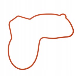 Cover gasket for magneta polaris sportsman 570