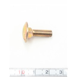Screw m6x20 din 603 brp 207762044