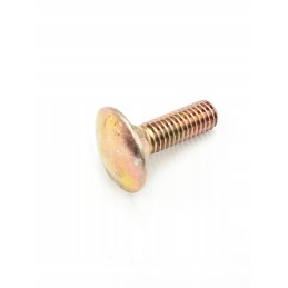 Screw m6x20 din 603 brp 207762044