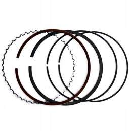 Can am outlander renegade 800 piston rings