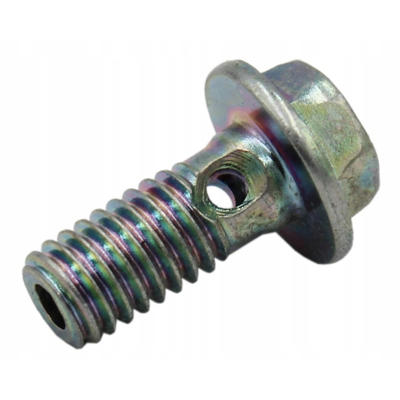Timing bleeder screw yamaha grizzly wolverine rhino 90401 06001 00