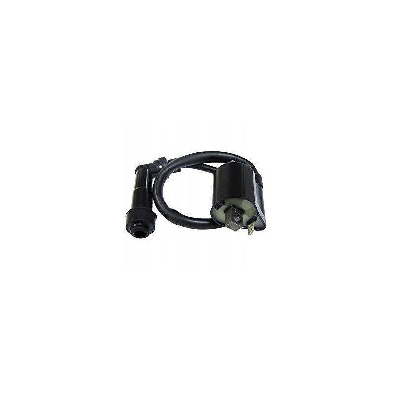 Yamaha blaster 200 wolverine 450 ignition coil