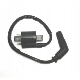 Ignition coil with pipe yamaha grizzly 700 1d7 823