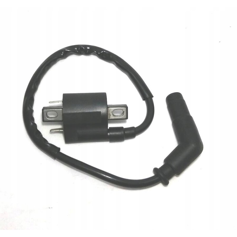 Ignition coil with pipe yamaha grizzly 700 1d7 823