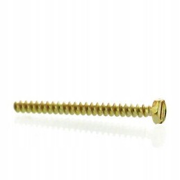 Hex screw k40x45 250000718