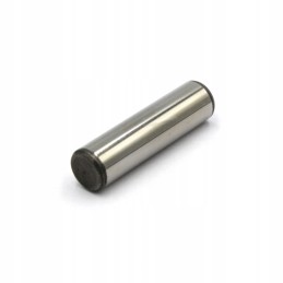 Variator roller pin can am maverick x3 2017