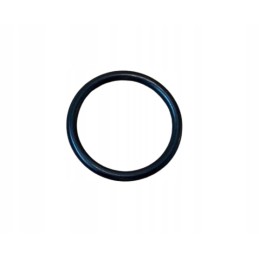 Steering column O ring CAN AM 293300068