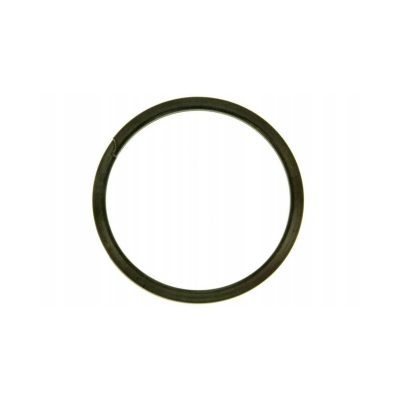 Sealing ring 715900252