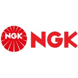 Spark plug dcpr8e ngk outlander 800 650 predator 500