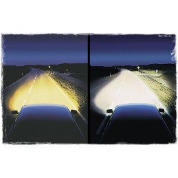 Super white xenon farenheit bulbs h4 60 55w