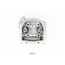 Head 4t gy6 50ccm 39mm set with bleeding