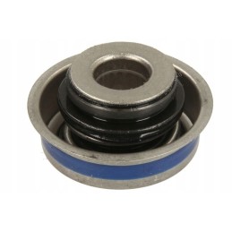 Water pump mechanical seal, replacement 5030