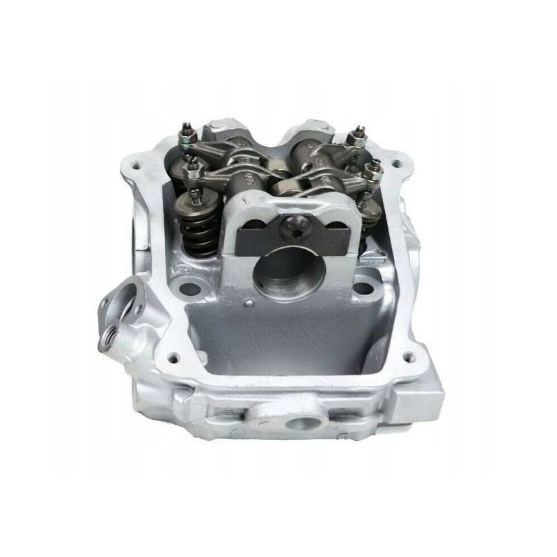 Complete head can am outlander renegade 1000 420623064