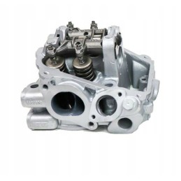 Complete head can am outlander renegade 1000 420623064