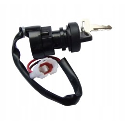 Yamaha Raptor Grizzly Bruin Breeze Warrio Ignition Switch