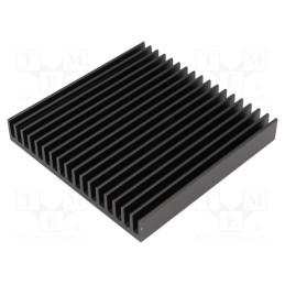 1 pcs x FISCHER ELEKTRONIK - SK81/100/SA - Heatsink: extruded, grilled, black, L: 100mm, W: 100mm, H: 15mm