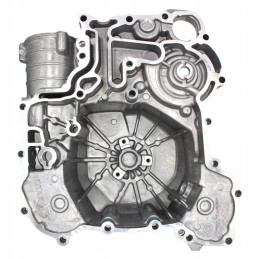 Can am maverick x3 2017 alternator housing 420911055