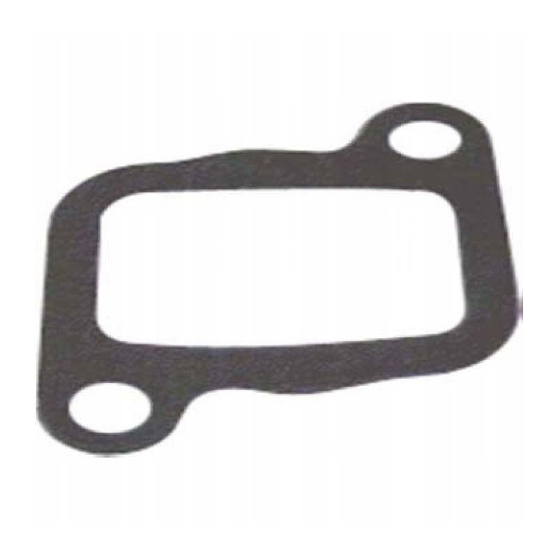 Seal 1 0 mm 420831867