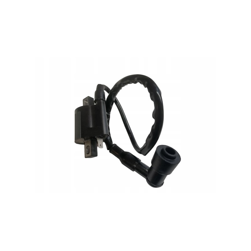 Ignition coil yamaha raptor 50 raptor 80