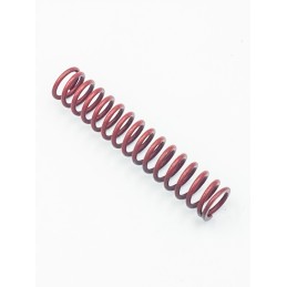 Oil valve spring 420939211
