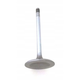 Exhaust valve 420254682