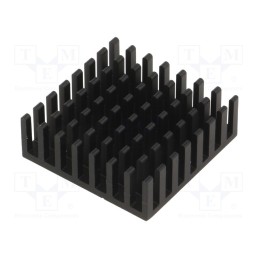 1 pcs x FISCHER ELEKTRONIK - ICK BGA 29 X 29 X 10 - Heatsink: extruded, black, L: 29mm, W: 29mm, H: 10mm, aluminium