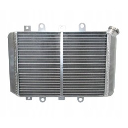 Yamaha grizzly 700 radiator 2012 2020