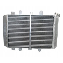 Radiator Yamaha Grizzly 550 700 09 19 28p 1240a