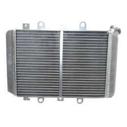 Radiator Yamaha Grizzly 550 700 2012 2020