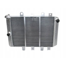 Radiator Yamaha Grizzly 550 700 2012 2020