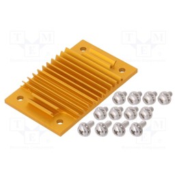 1 pcs x Advanced Thermal Solutions - ATS-1138-C1-R0 - Heatsink: extruded, grilled, BGA, golden, L: 37mm, W: 58mm, H: 6.1mm