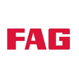 Fag placenta 6006 2rsr c3