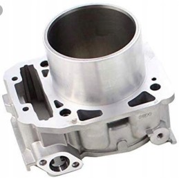 Can am outlander renegade commander rear cylinder