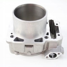 Front cylinder canam commander renegade 1000 11 19