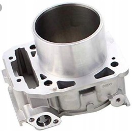 Rear cylinder can am outlander renegade 1000