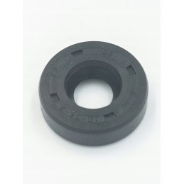 Oil seal 420950400