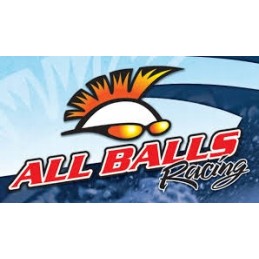 Allballs 19 5001 drive joint cover